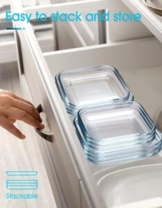 3 Pcs 8" INCH Tempered Glass Pasta Salad Plate Set For Kitchen - Image 4