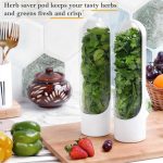 Fresh Herb Keeper Vegetable Storage Container - Image 4
