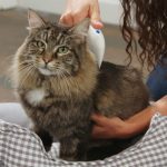 BulbHead As Seen On TV Flea Doctor Electronic Flea Comb Perfect for Dogs & Cats, Kills & Stuns Fleas - Image 3