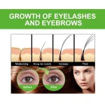 Castor Oil for Eyelashes and Eyebrows 30ml - Image 3