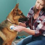 BulbHead As Seen On TV Flea Doctor Electronic Flea Comb Perfect for Dogs & Cats, Kills & Stuns Fleas - Image 2