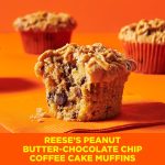 Betty Crocker REESE'S Peanut Butter Coffee Cake Mix with Mini REESE'S Peanut Butter Chips - Image 4