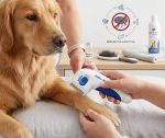 BulbHead As Seen On TV Flea Doctor Electronic Flea Comb Perfect for Dogs & Cats, Kills & Stuns Fleas - Image 4