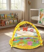 Interactive Baby Fitness Frame & Puzzle Mat