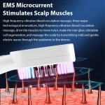 Electric Vibration Hair Growth Comb EMS Micro Current, 3 Color LED Massage - Image 4