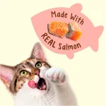 Friskies Party Mix Naturals Salmon Flavor Cat Treats 2.1 oz. - Image 6