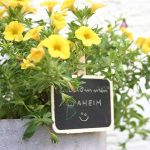 Chalkboard Clips Set of 6 Wooden Mini Blackboard - Image 6