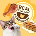 Purina Friskies Natural Cat Treats, Party Mix Natural Yums With Real Chicken & Vitamins, Minerals & Nutrients - (Pack of 6) 6 oz. Pouches - Image 4