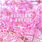 185ml Air Mist Blossom & Breeze Air Freshener- Blossom & Breeze fragrance is inspired by the freshness of delicate soft petals - Image 2