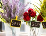 Adorable Mini Wooden Chalkboards 2 pcs