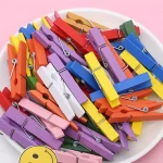 Colorful Wooden Clips Pack of 20