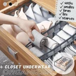 3 Pcs Underwear Organizer Set Foldable Closet Storage Boxes Drawer Organizer for Underware,Bra,Socks - Image 3