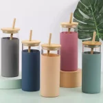 Glass Cup with Lid and Reusable Straw